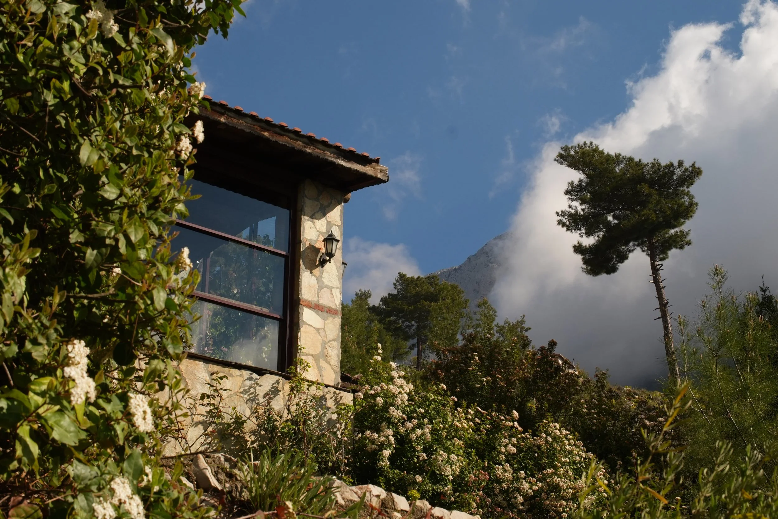 The Rabbit Hole Restaurant building with large windows, a stone exterior, and a tiled roof, surrounded by flowering bushes and tall trees, with mountains and a partly cloudy sky in the background.