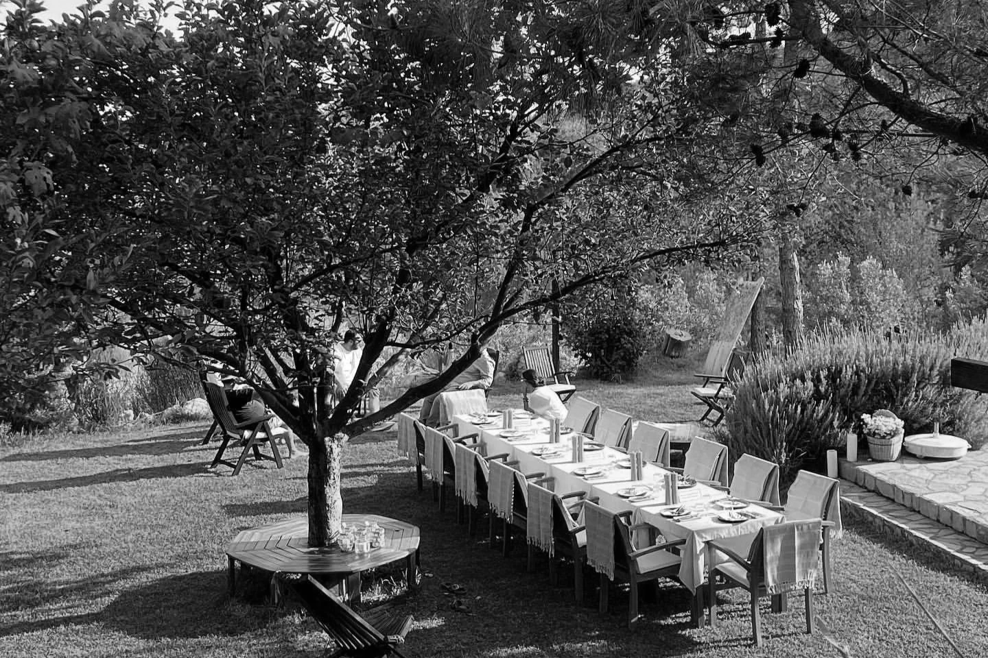 Outdoor dining setup with a long table and chairs under a large tree, surrounded by garden scenery, with some people preparing or setting the table.