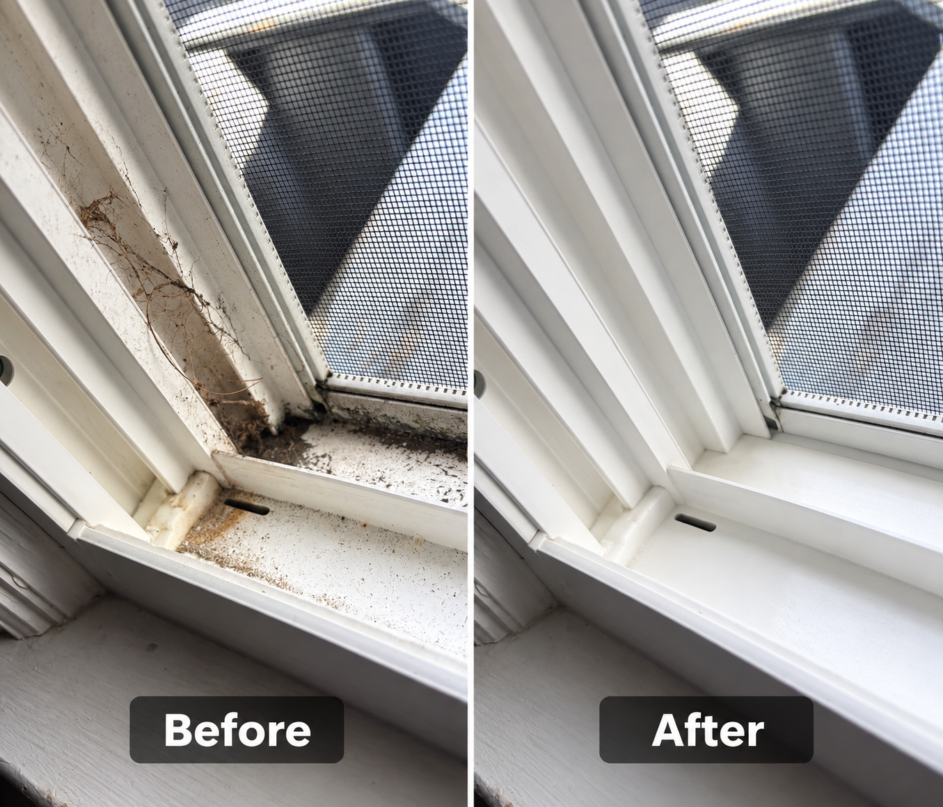window seal.png