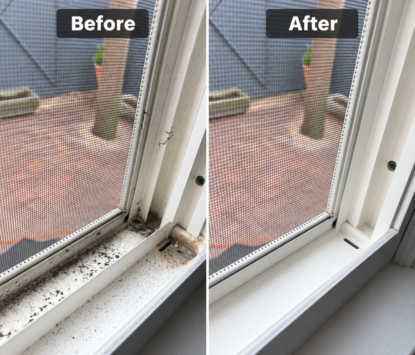 windowsill.png