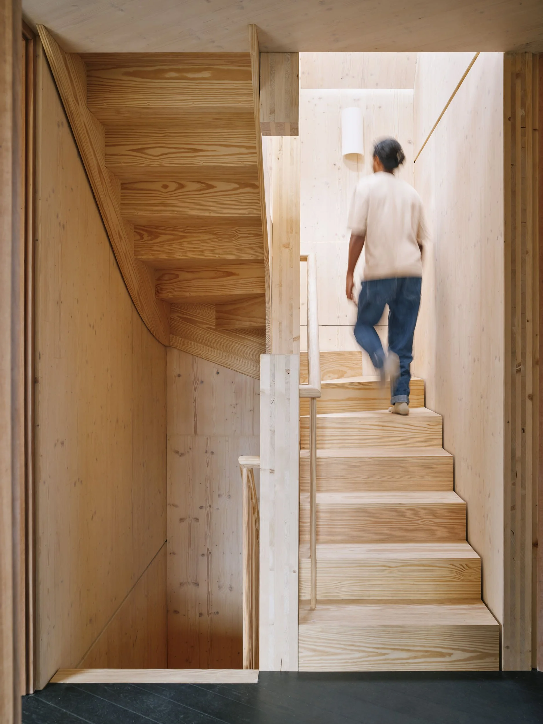 Timber stair climbing through Wood House