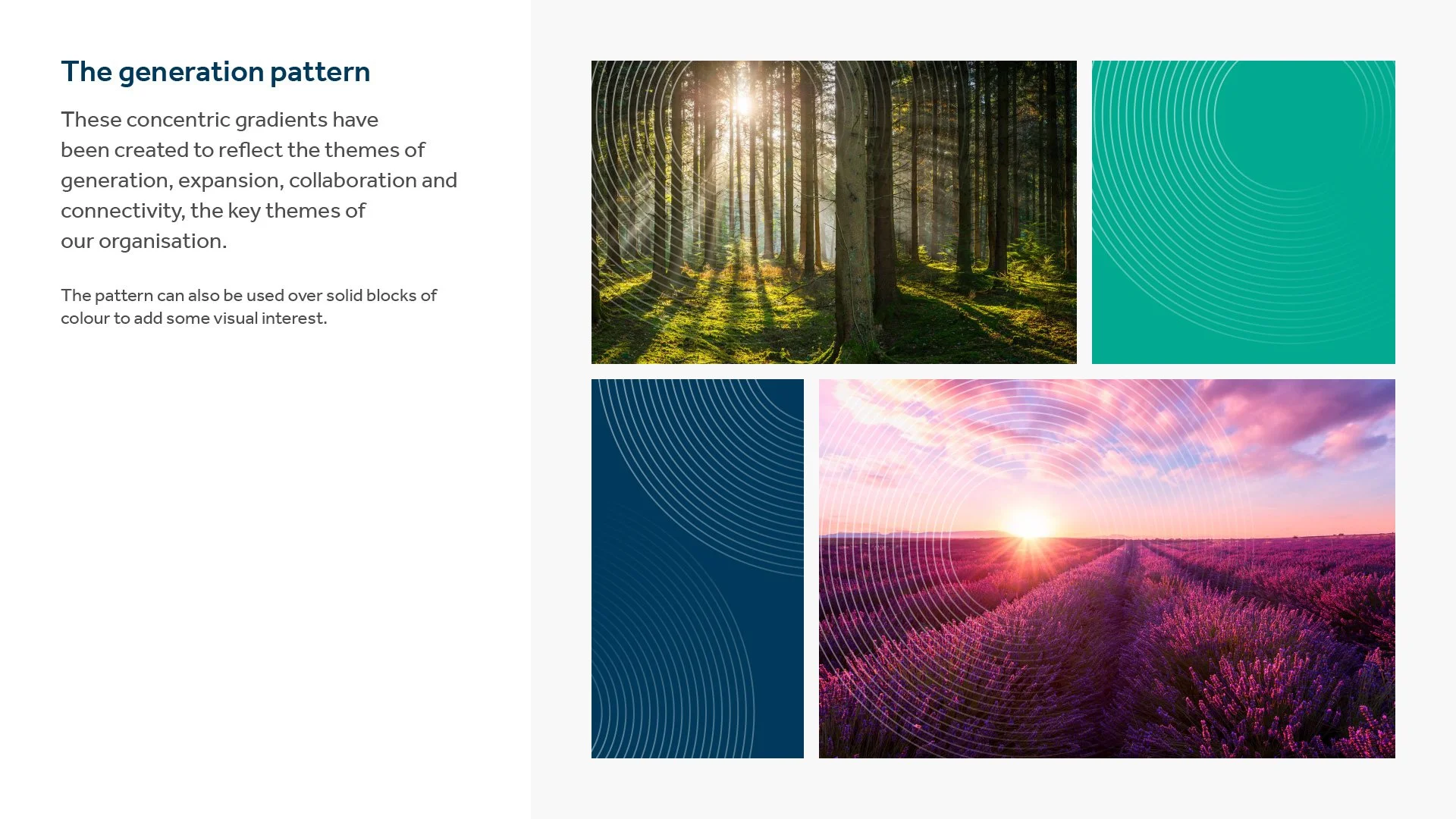 cero_brand_guidelines_update_2022-13.jpg
