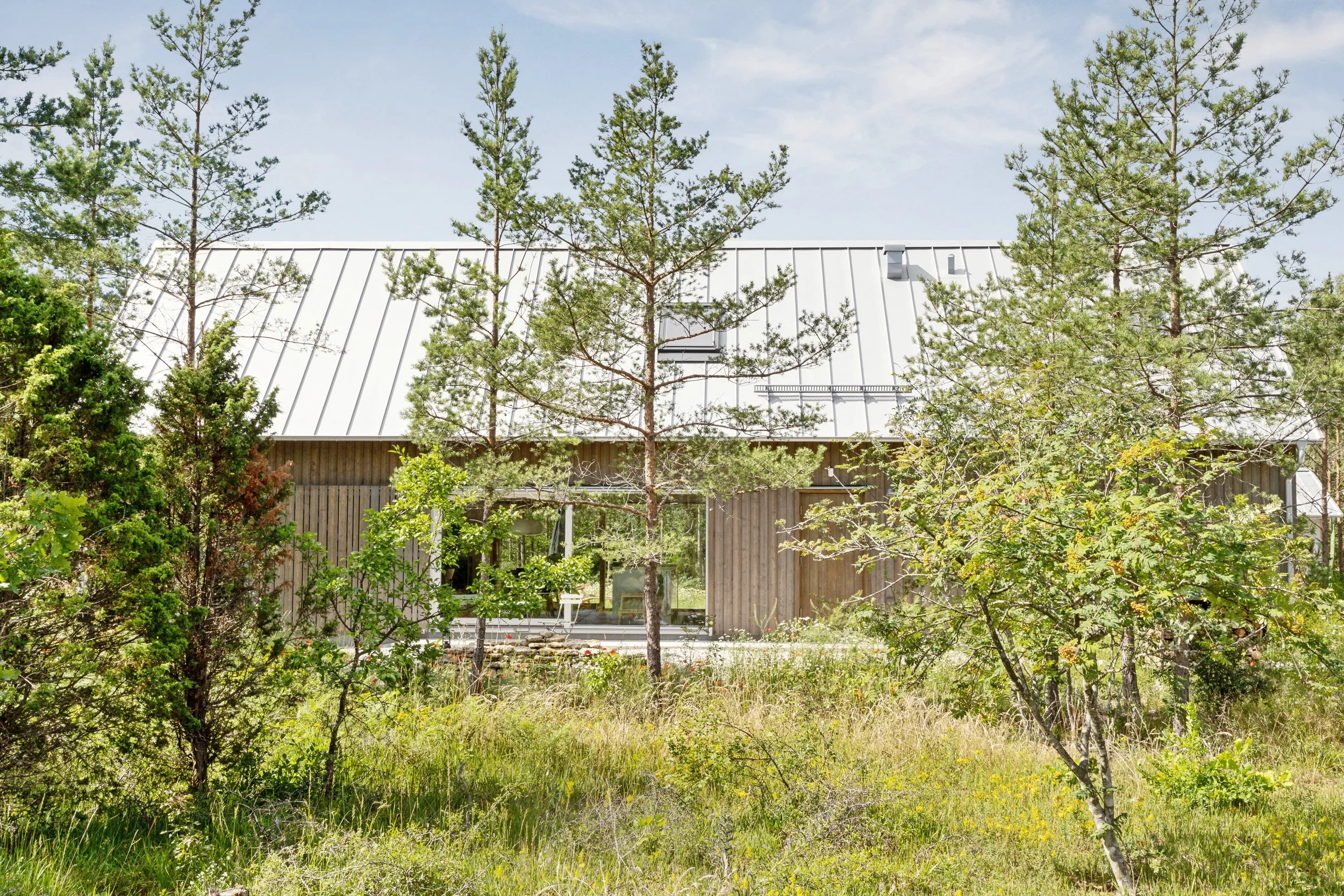 IMG-7969.jpg