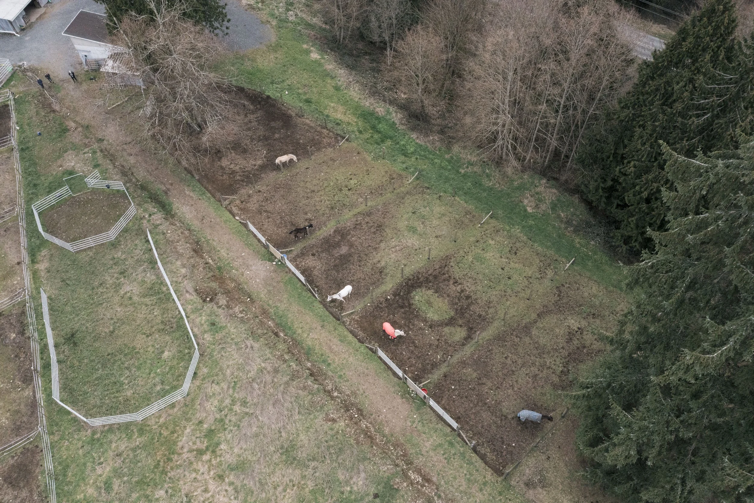 DJI_0644.jpg