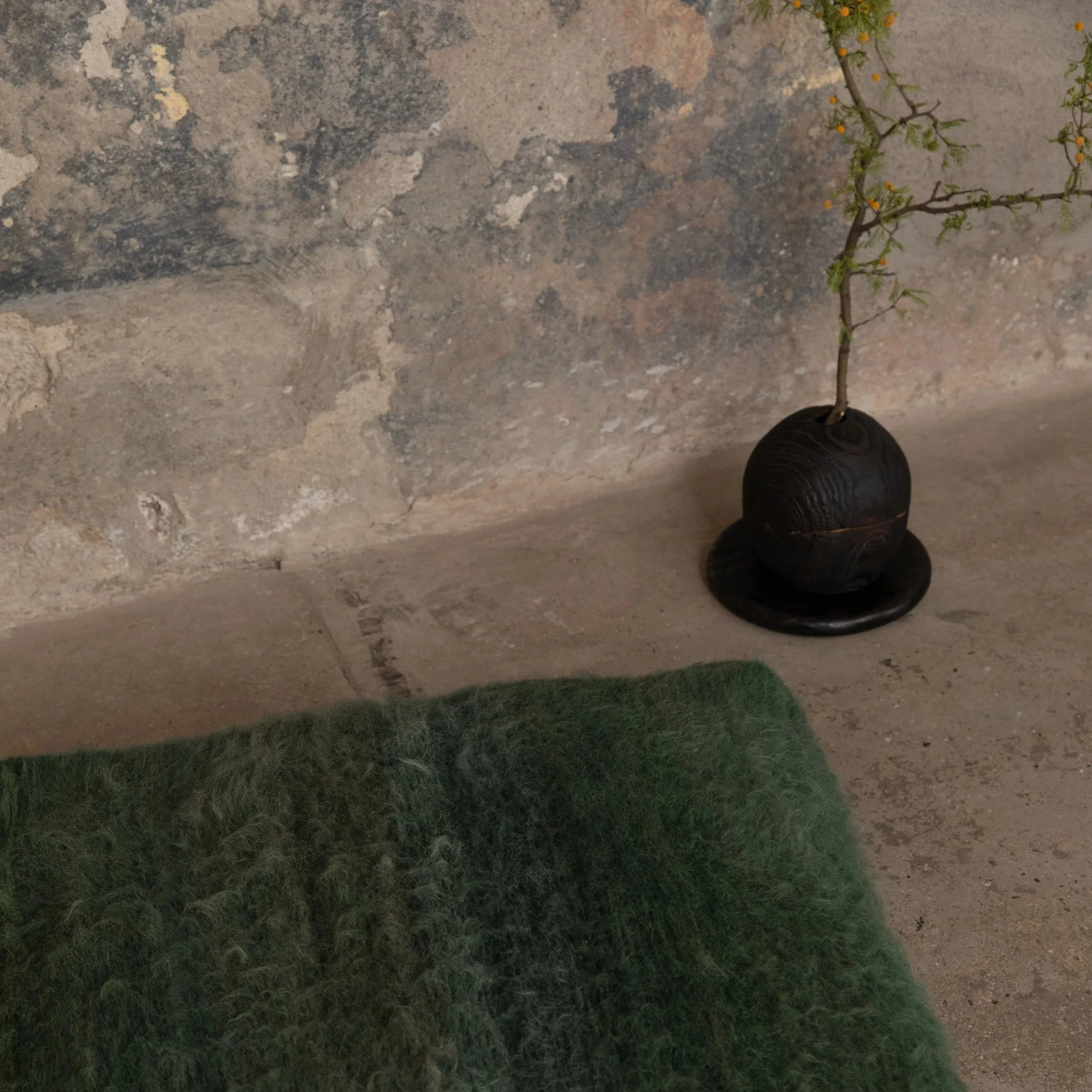 PF6A5434-Editar.jpg