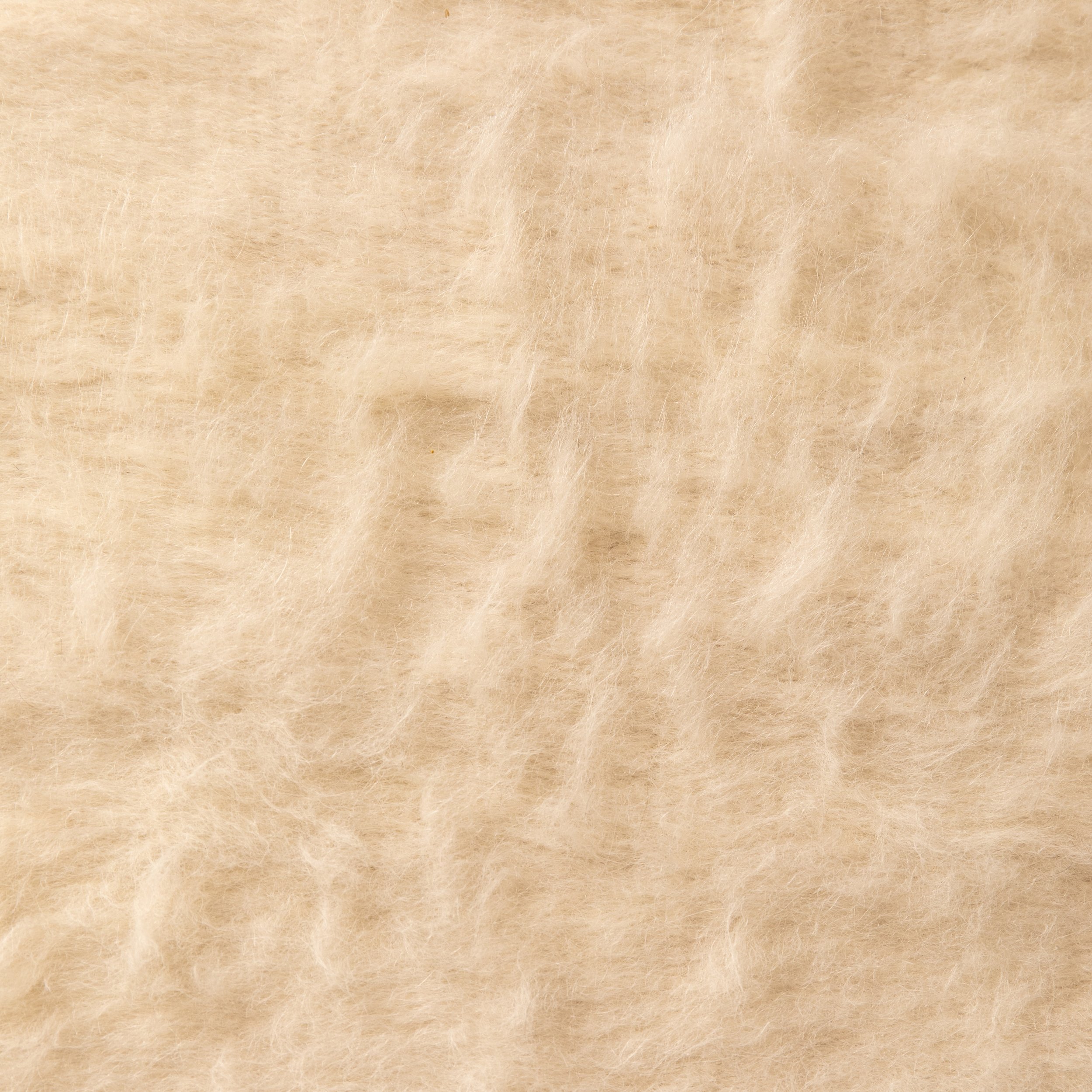 SUMA IVORY.jpg