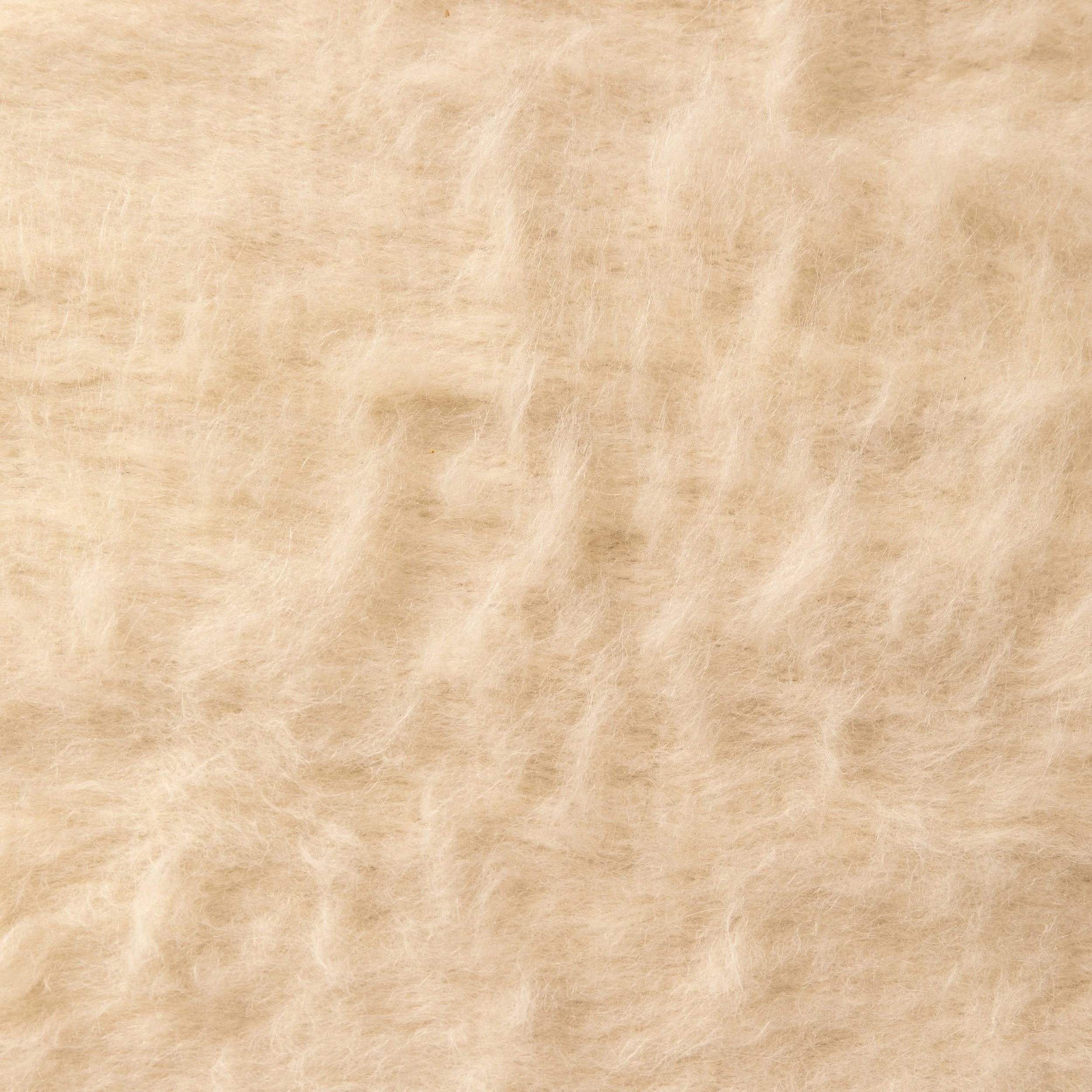 SUMA IVORY.jpg
