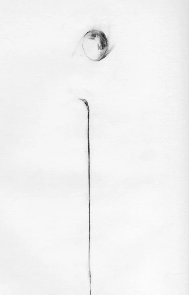 Sketchbook_1976-1_0007.jpg