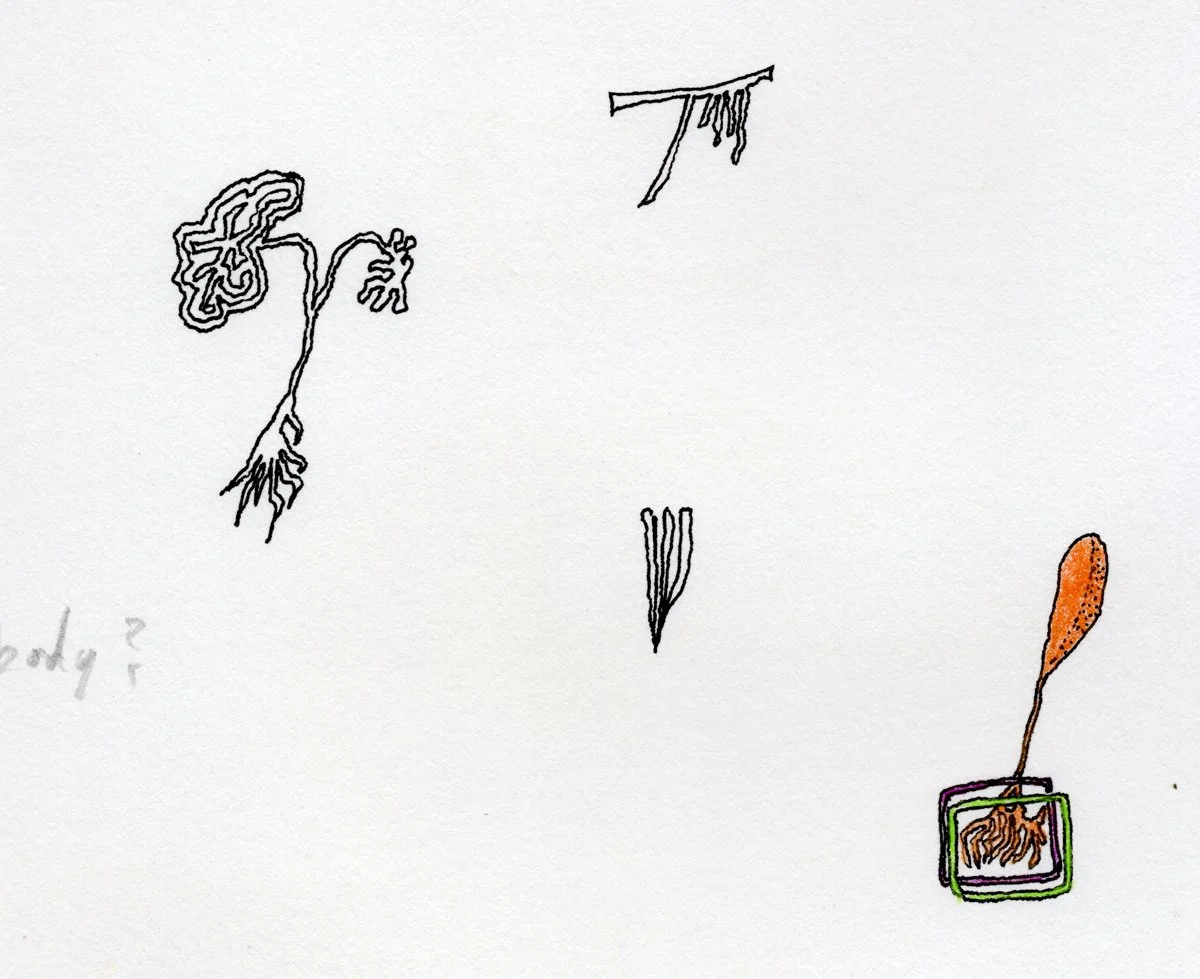 Sketchbook_1976-1_0040.jpg