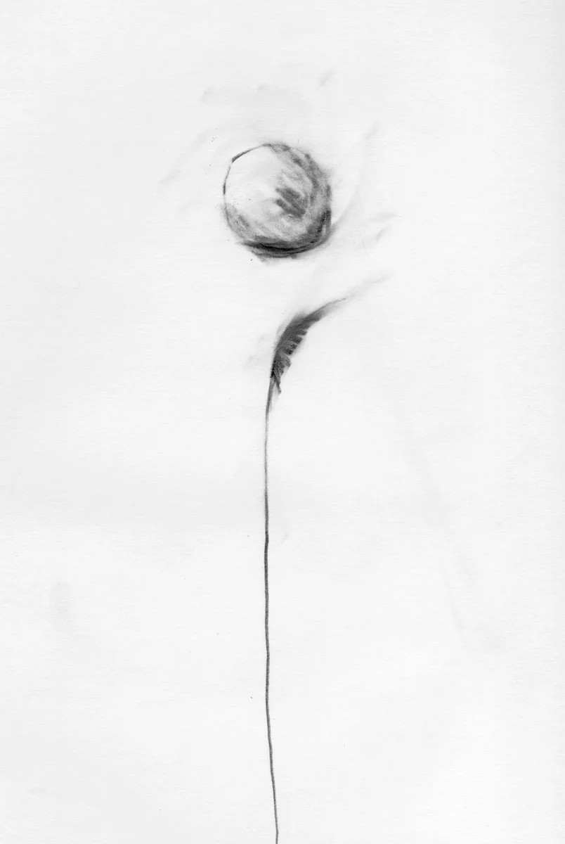 Sketchbook_1976-1_0009.jpg