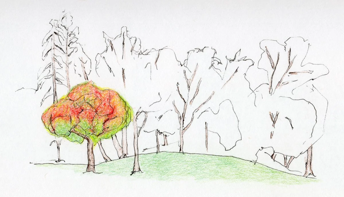 Sketchbook_2007-1_02.jpg