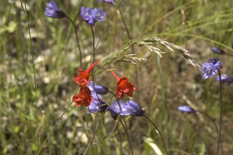 But yet they survived and thrived – because life is relentless – it just keeps trying.