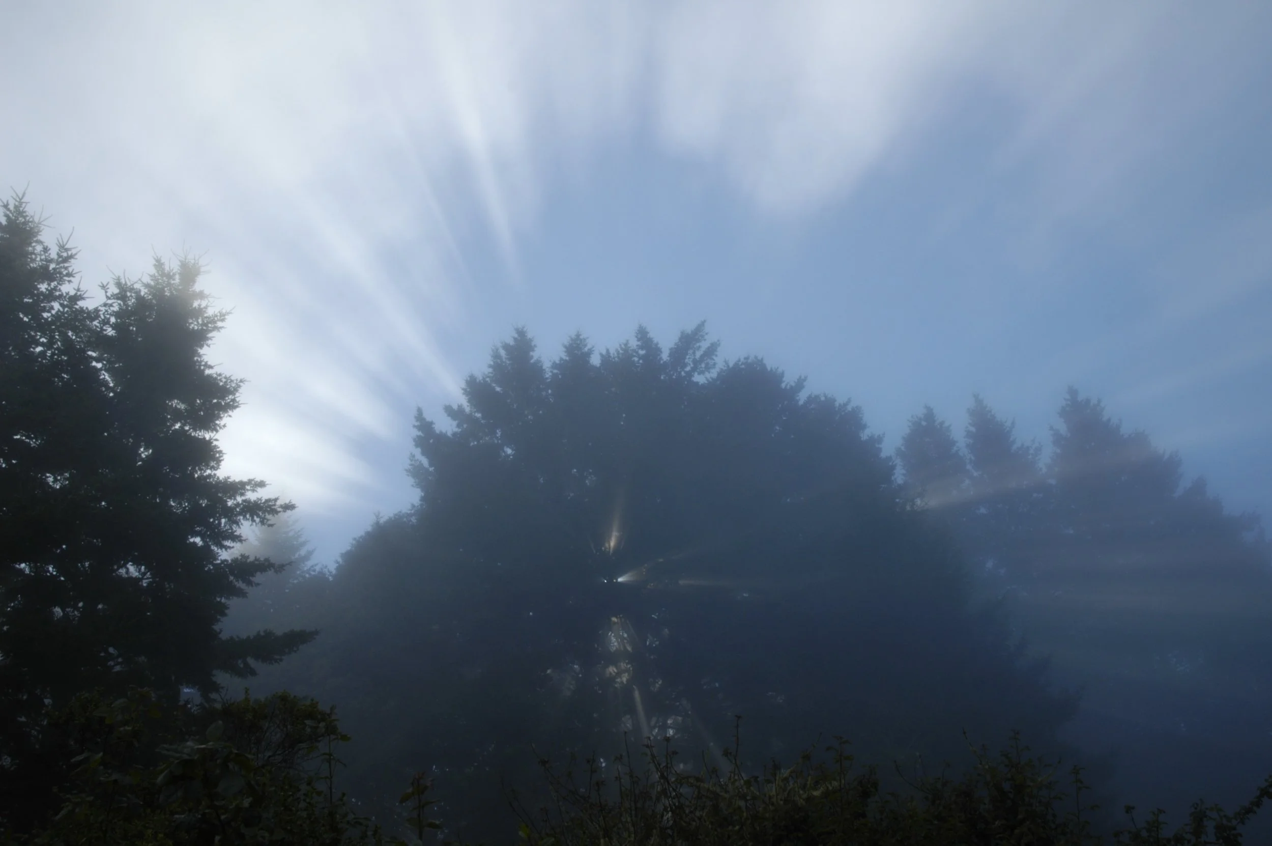Purisima Creek Redwoods Open Space Preserve