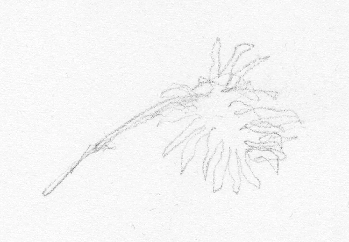 Sketchbook_1976-5_25.jpg