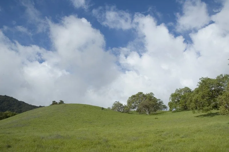 IN THE SPRING: On the first day of Spring in 2005 I began a year of hiking. The main reason I started hiking was to take photographs. That day I took well over a hundred pictures of green grasses, trees, clouds, and vistas.