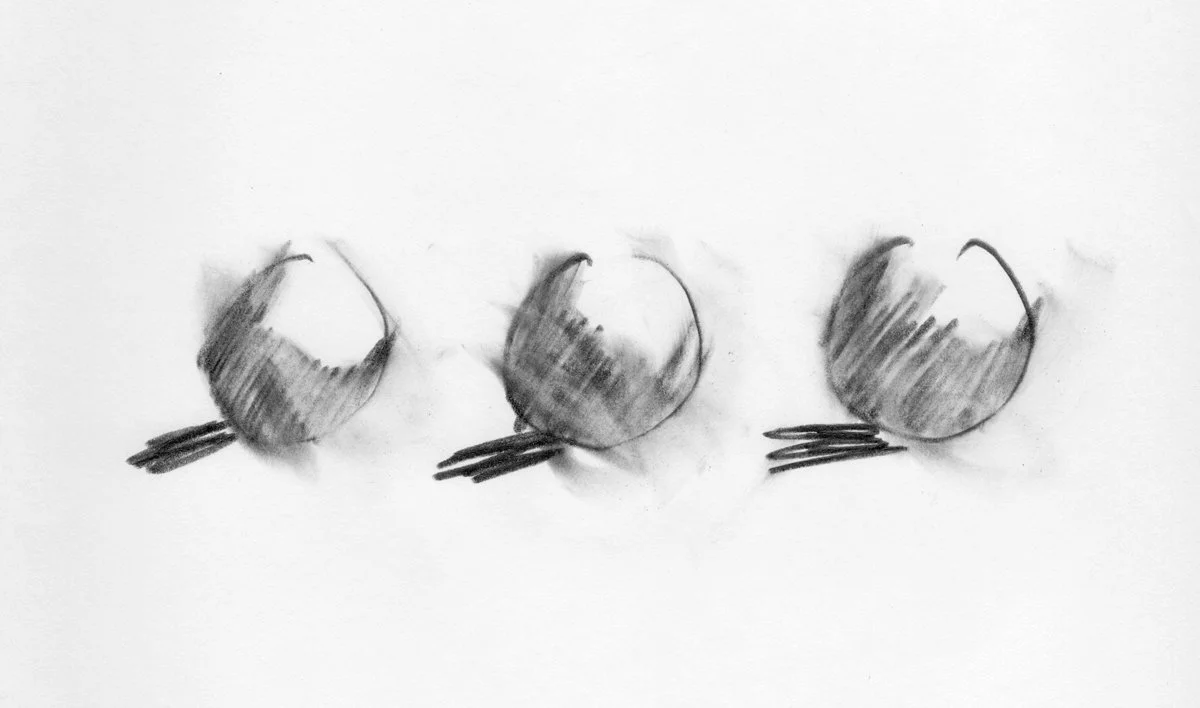 Sketchbook_1976-1_0011.jpg