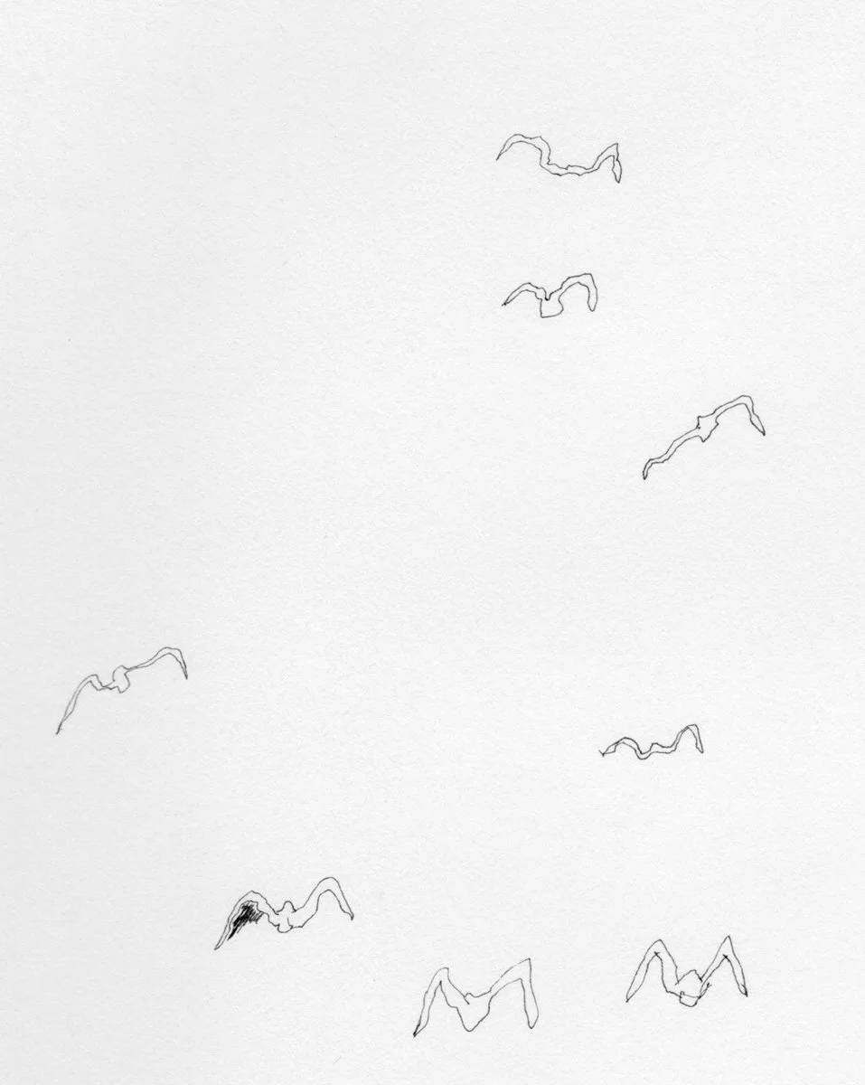 Sketchbook_1976-1_0057.jpg