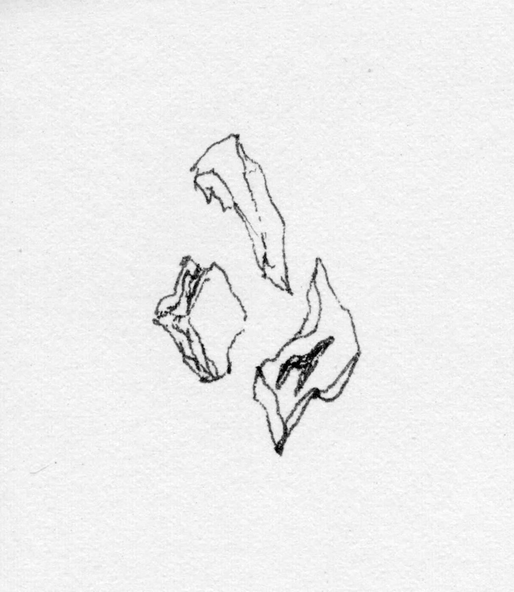 Sketchbook_1978-1_02.jpg