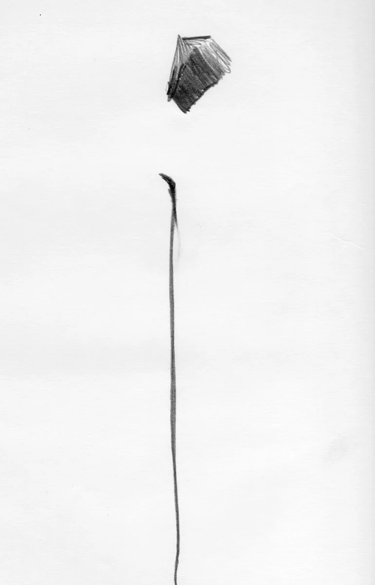 Sketchbook_1976-1_0006.jpg