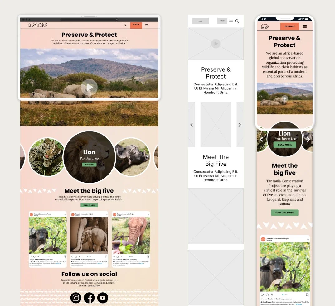 Website designs promoting wildlife conservation, featuring images of lions, rhinos, elephants, and buffalo, with sections on the big five animals, social media links, and a call to action to donate.