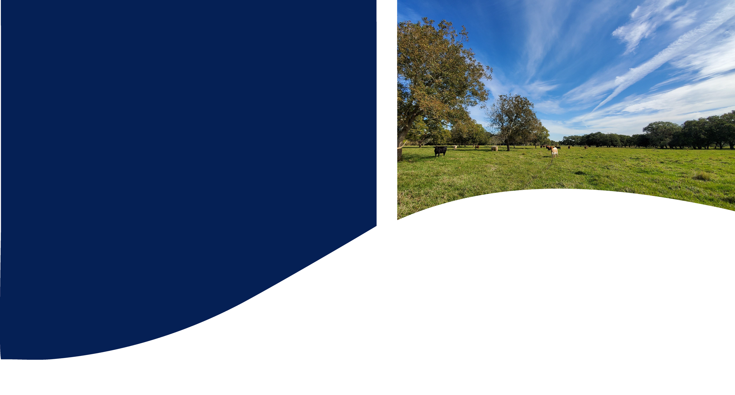 A scenic landscape with a green pasture, trees, cows grazing, and a blue sky with clouds.
