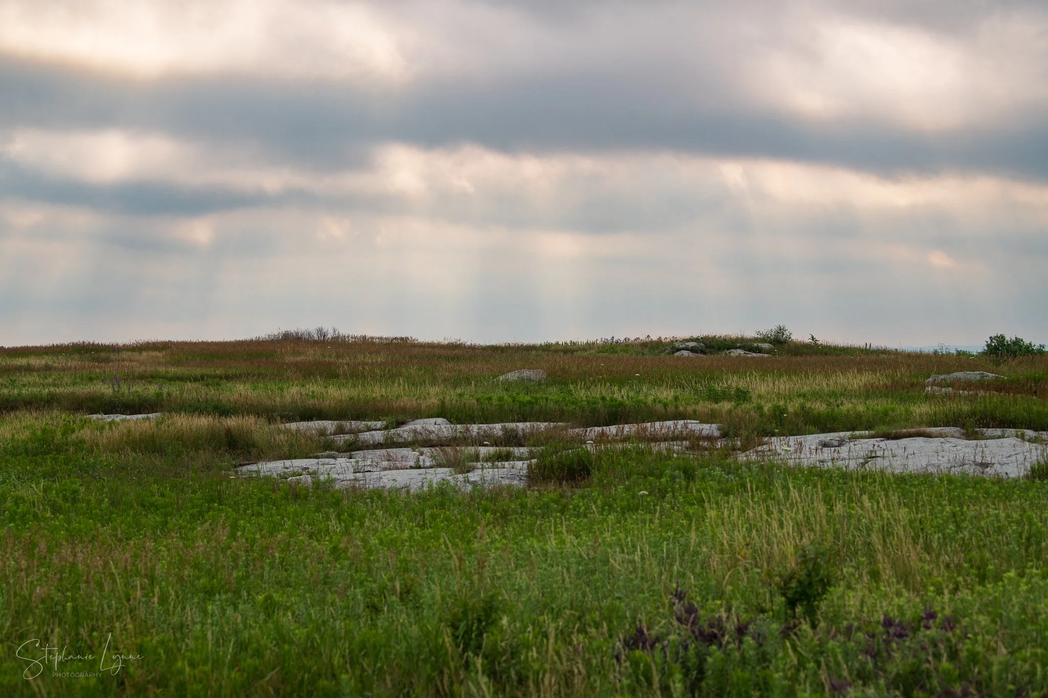 A wide view of a grassy field with scattered rocks under a cloudy sky.