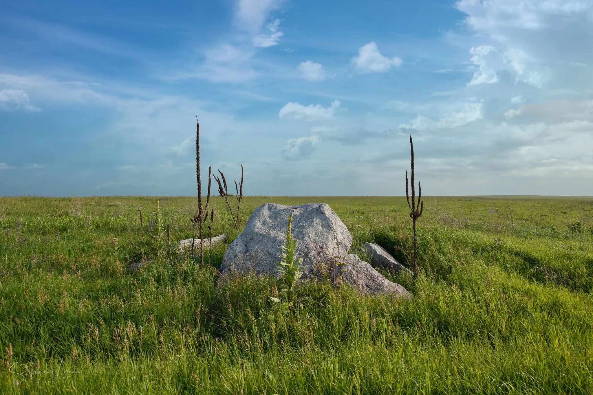 A grassy field with large rocks and tall, dried plants under a blue sky with scattered clouds.