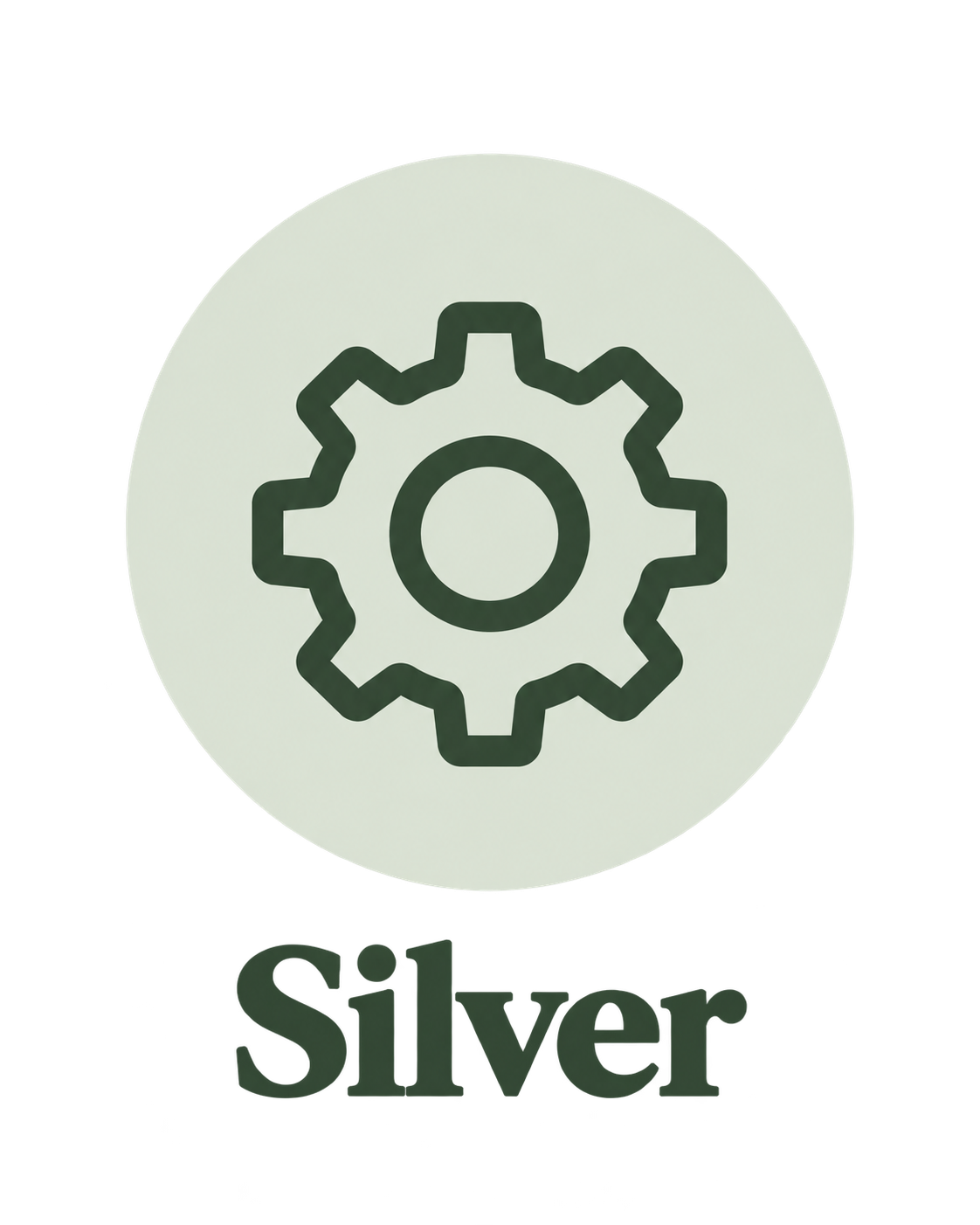 Icon of a gear with the word 'Silver' underneath.