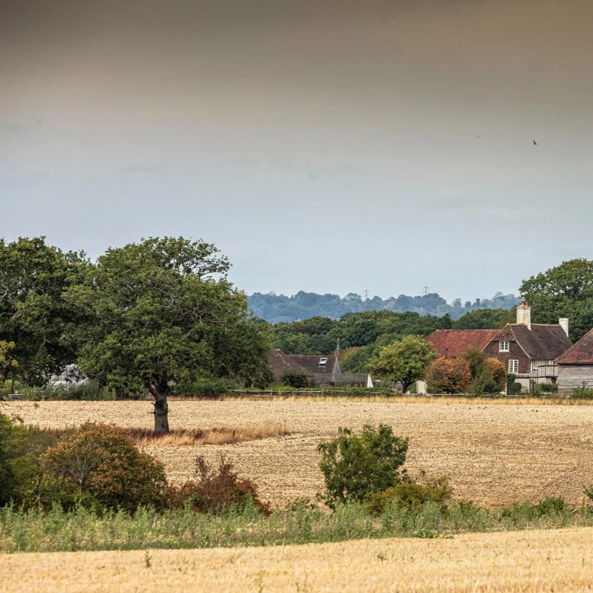 Fields and traditional homes in the Sussex countryside near Goddards Green