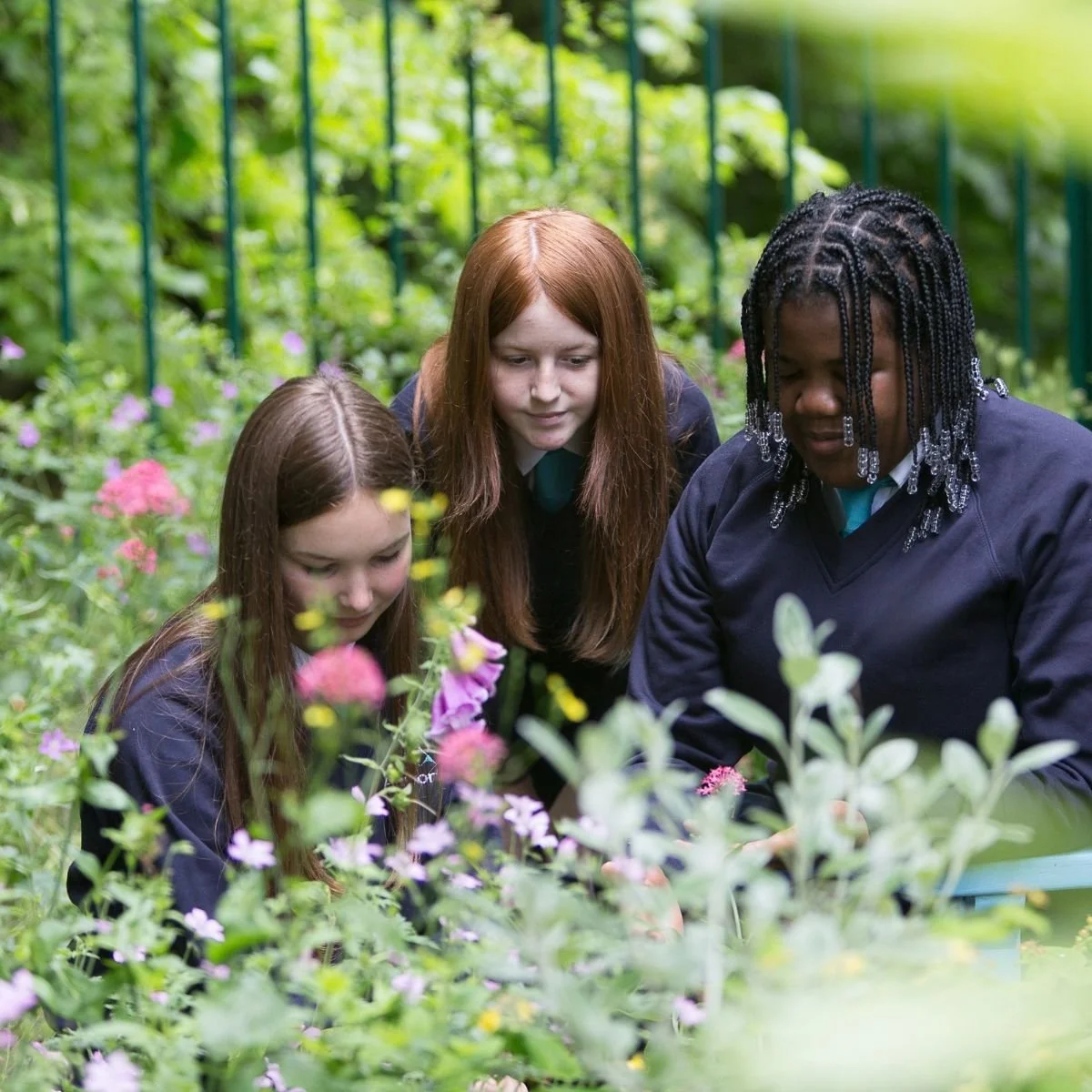 Local school pupils learning outdoors