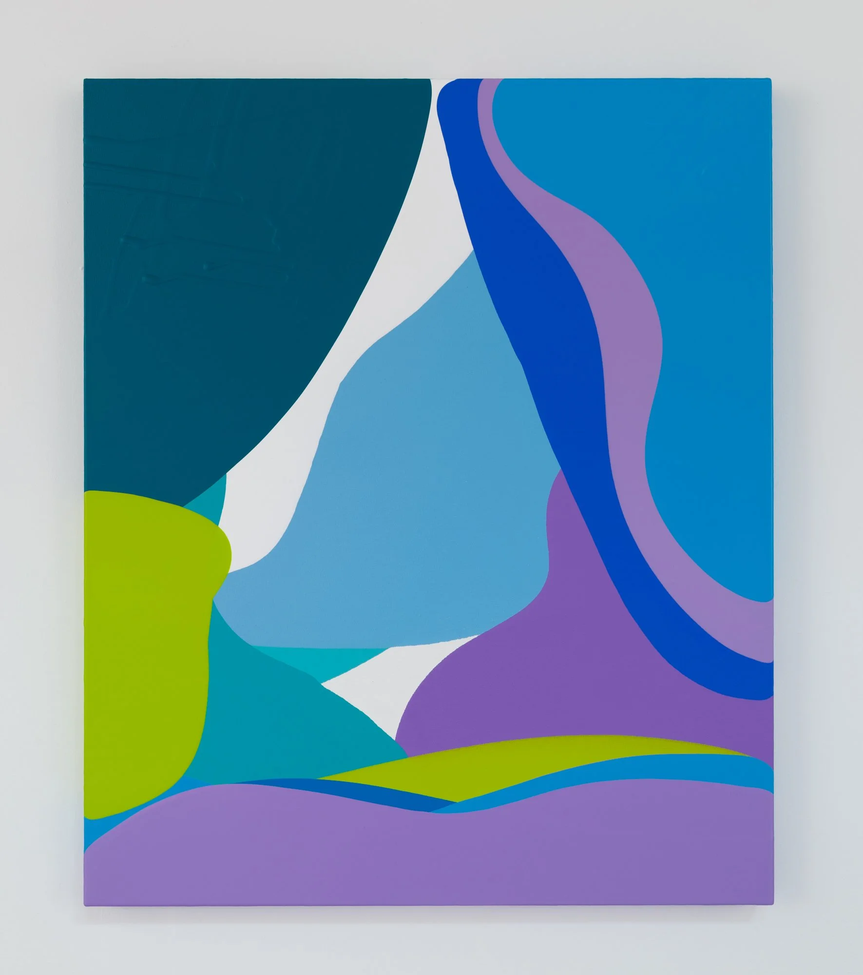 Flaco Il
acrylic on canvas over panel
 36 x 30 inches 2024