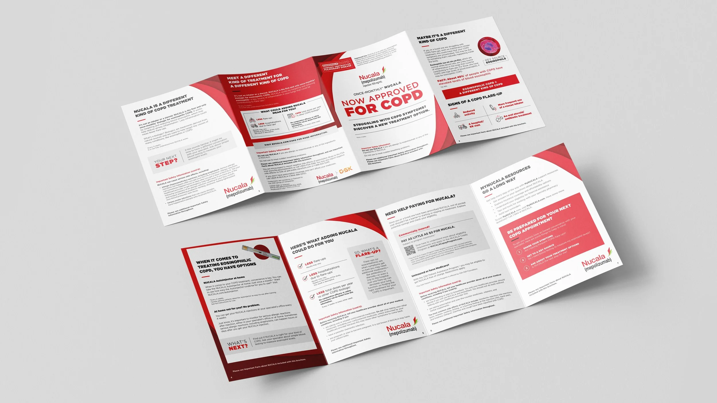 Print Brochure