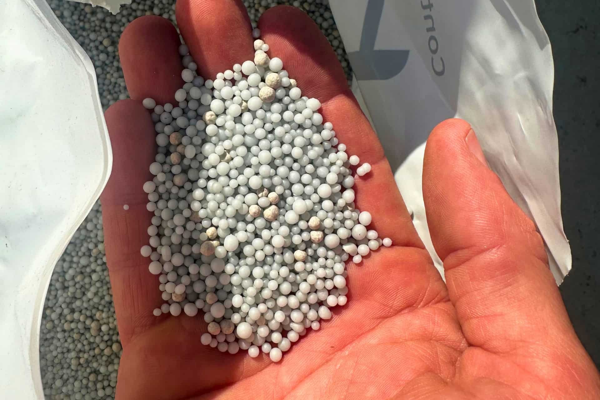 Fertilizer granules held in hand before application to a Wilmington, NC lawn