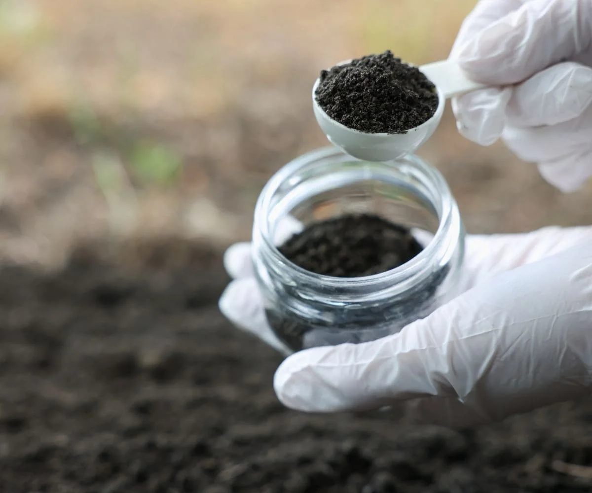Person wearing white gloves holding a small jar with soil for soil testing, with a measuring scoop filled with soil above it.