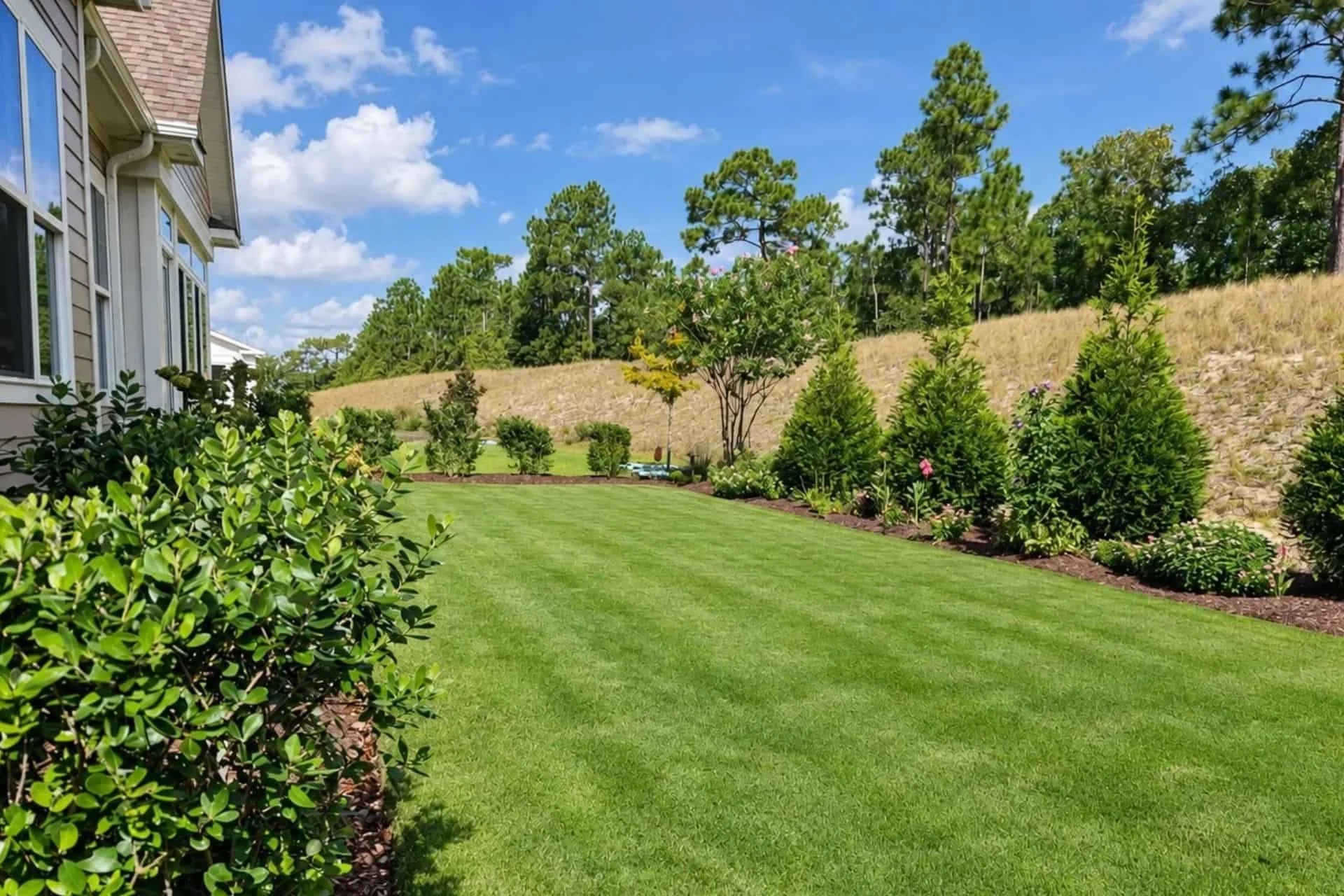 Manicured lawn and landscaped shrub bed beside a residential home in Wilmington, NC