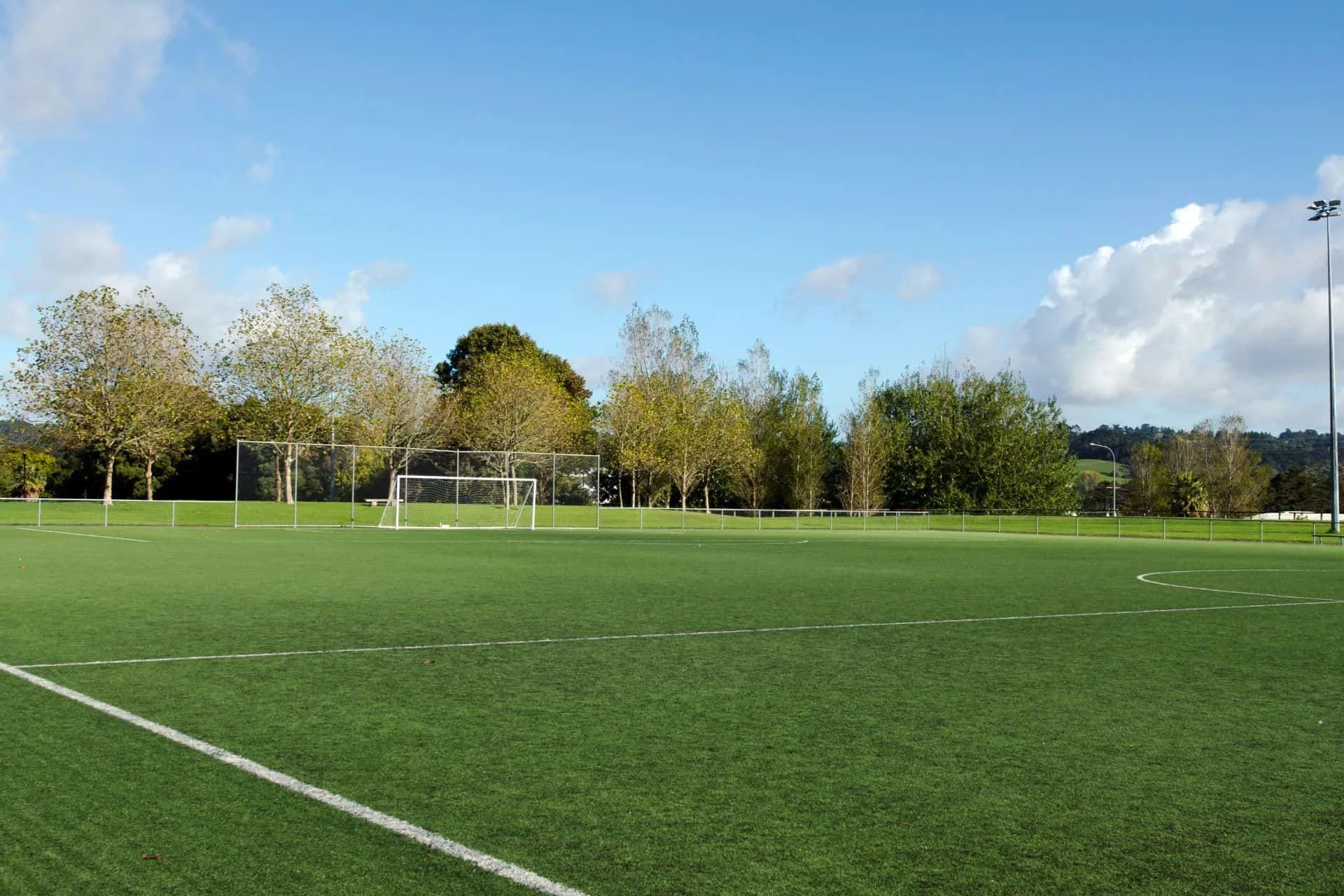 Manicured soccer field with a goal and surrounding trees at an athletic facility in Wilmington, NC