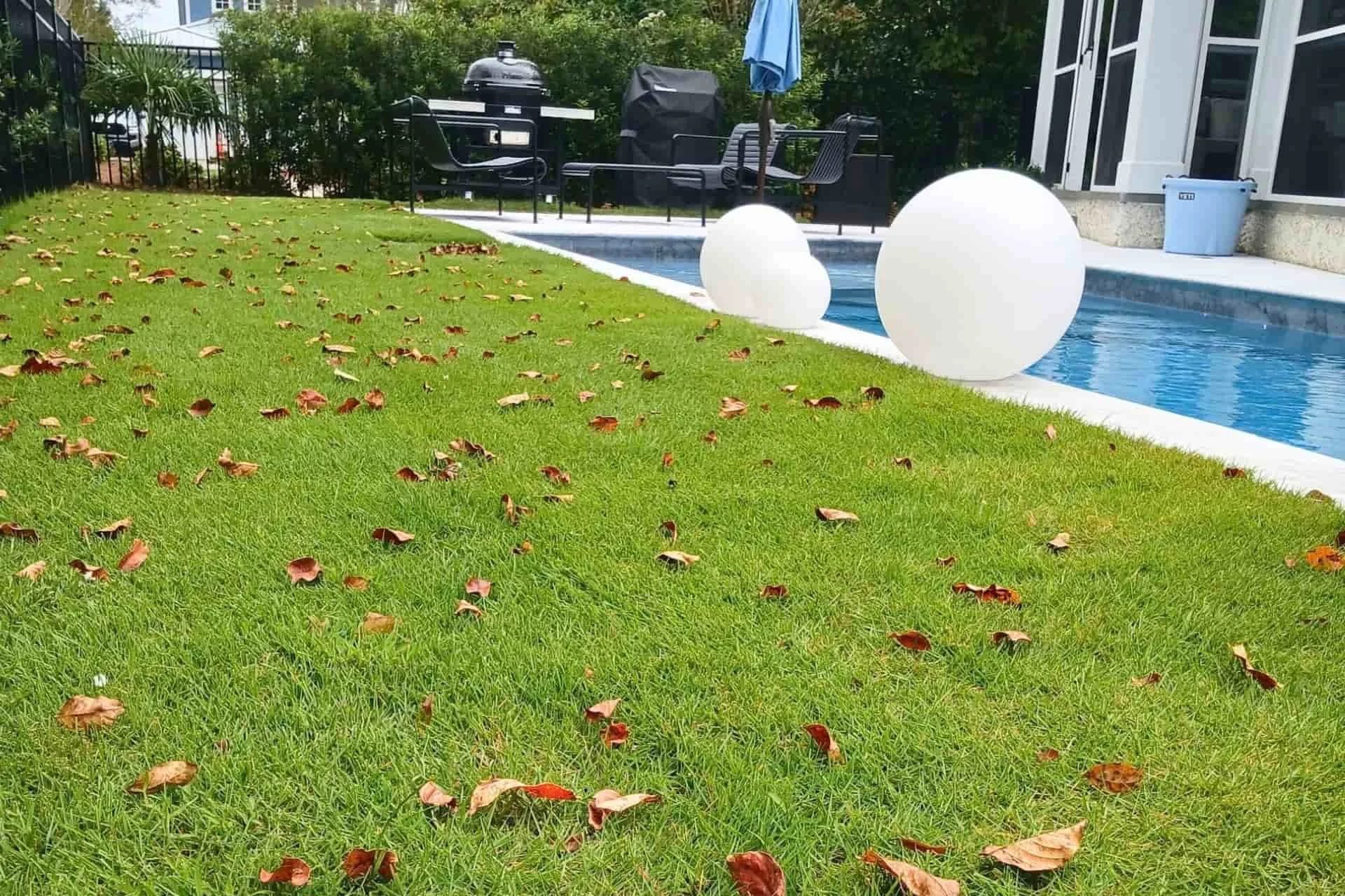 Healthy backyard lawn bordering a pool at a residential property in Wilmington, NC