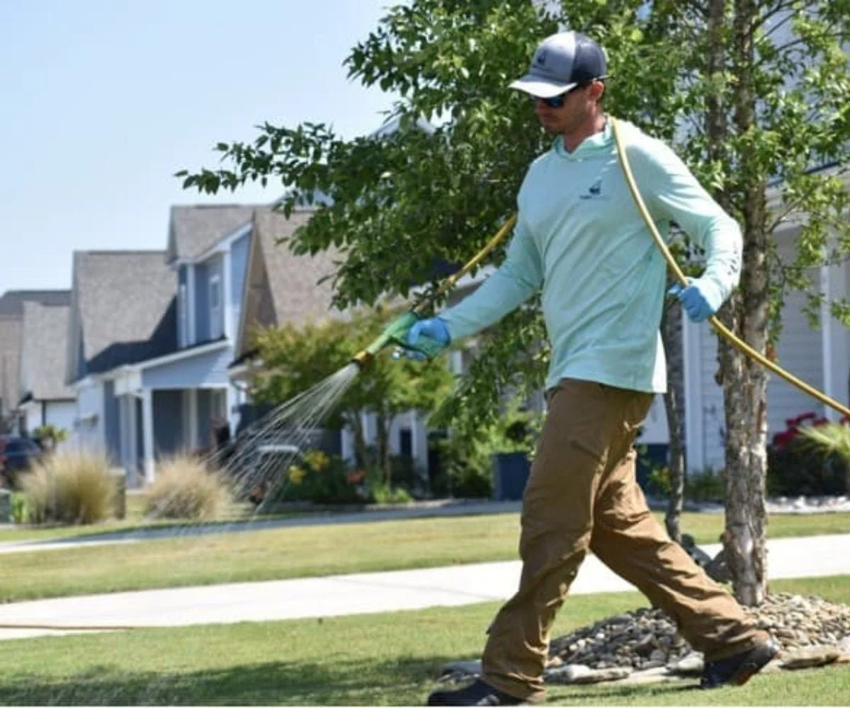 A lawn care specialist wearing a cap, sunglasses, and gloves watering a lawn with a garden hose in a suburban neighborhood.