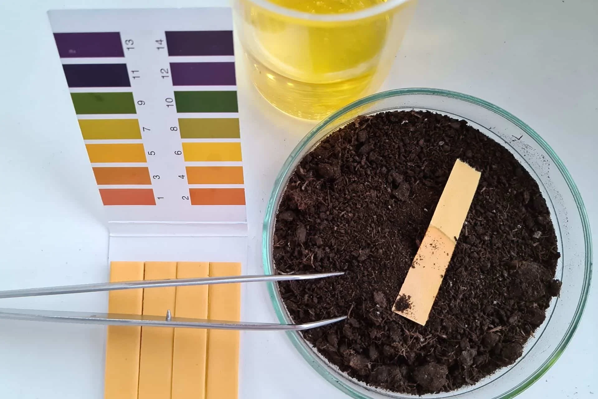 Soil pH test kit with color comparison chart used to analyze a soil sample
