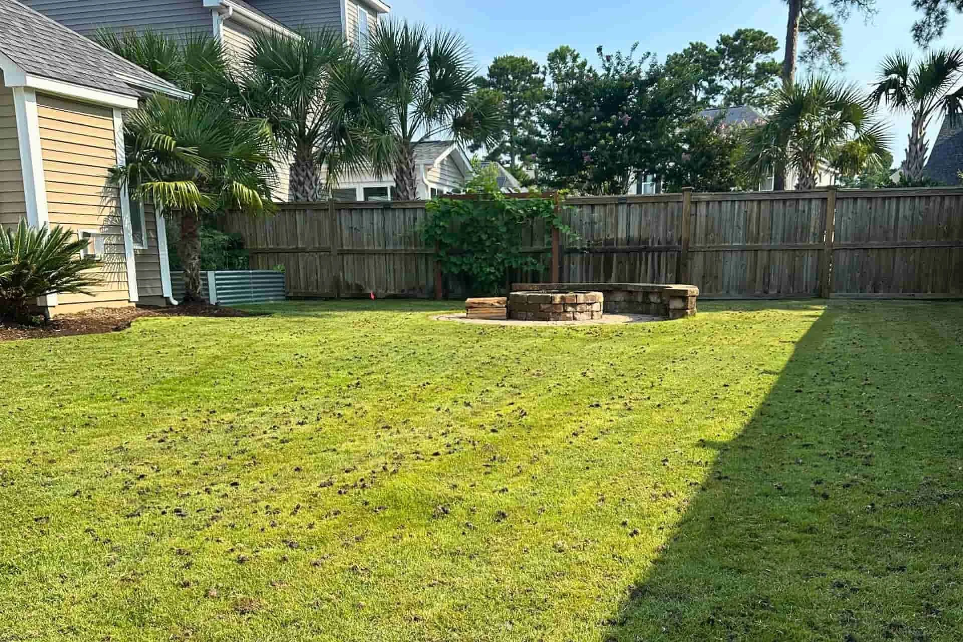 Healthy backyard lawn with a wooden privacy fence at a residential property in Wilmington, NC