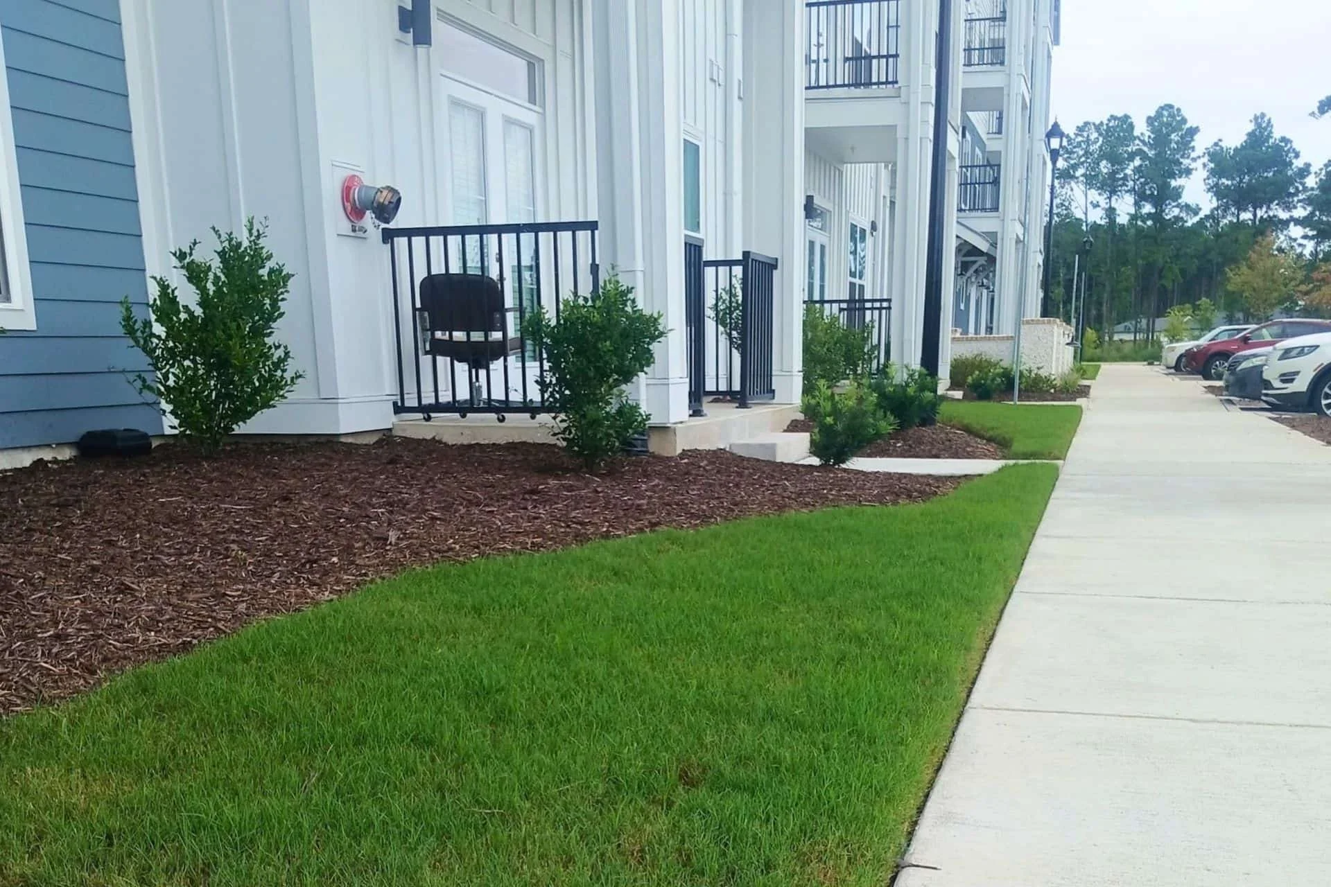 Mulched landscape bed and manicured lawn along a sidewalk at a multi-family residential property in Wilmington, NC
