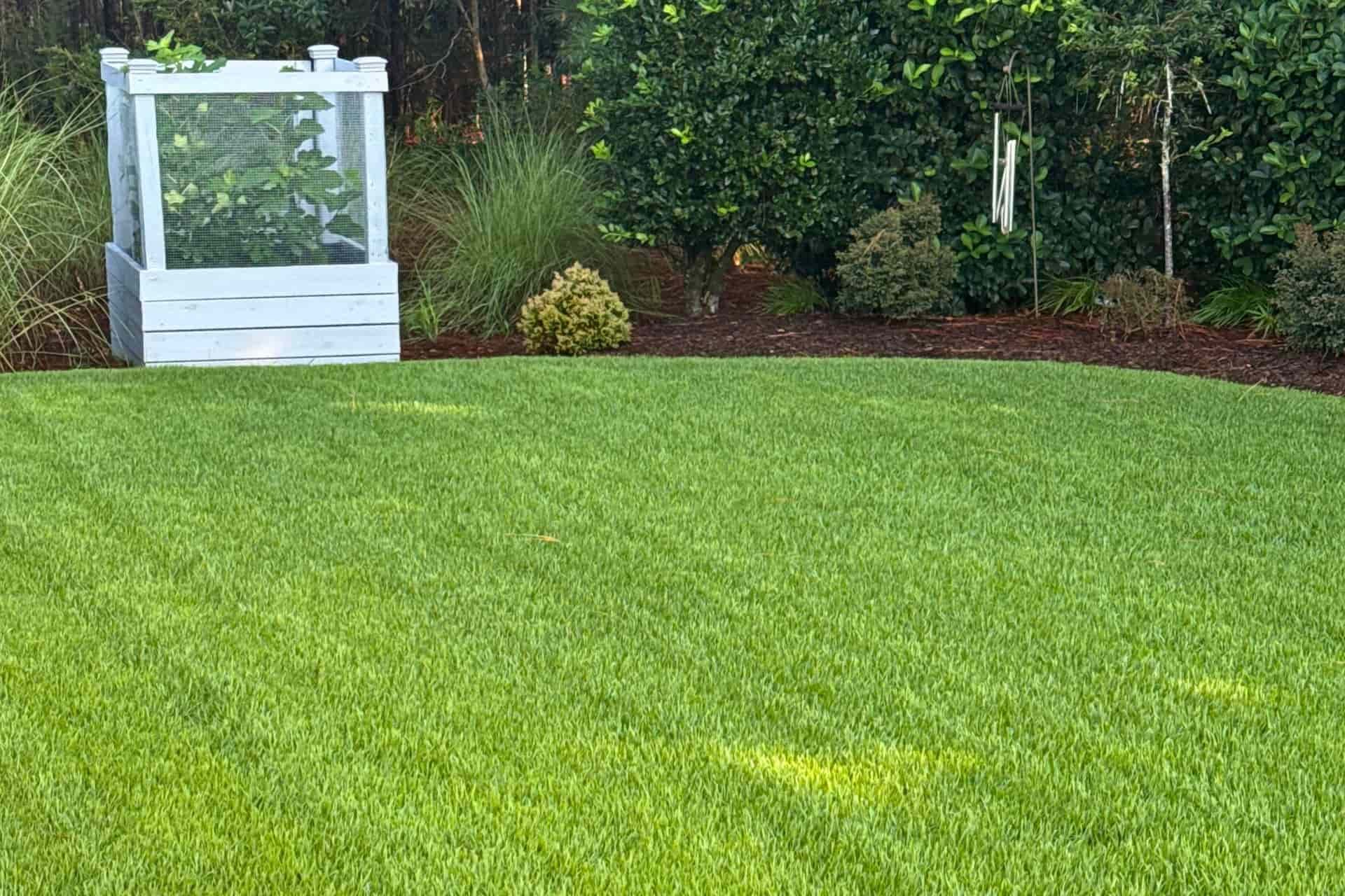 Healthy backyard lawn with a white garden trellis and landscaped bed in Wilmington, NC