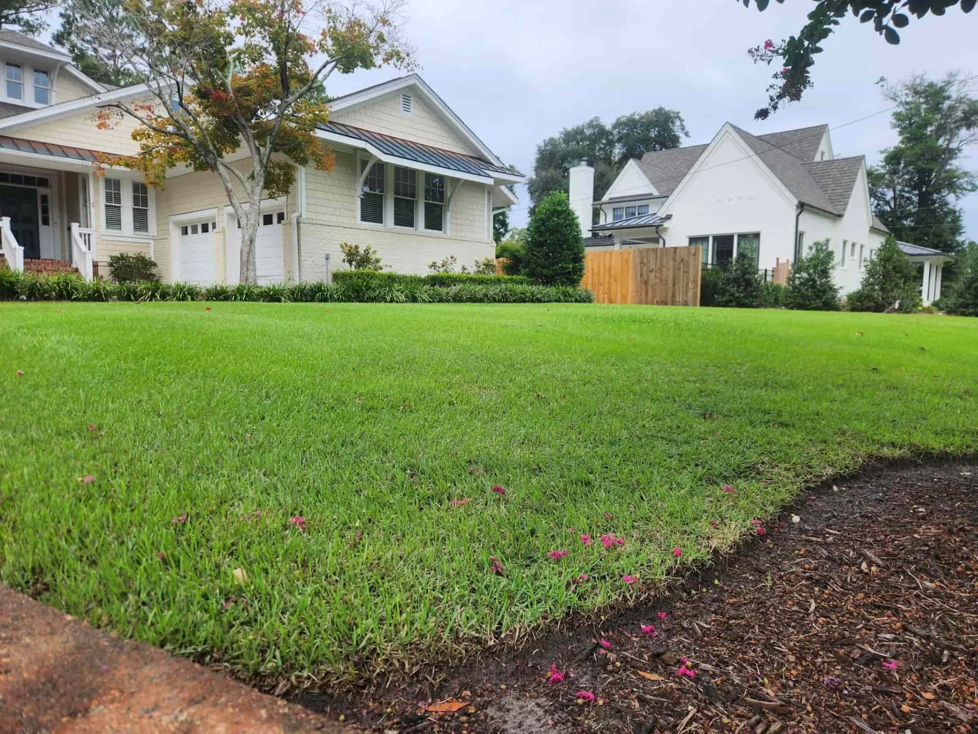 Well-maintained residential lawn with a freshly edged mulch bed in a Wilmington, NC neighborhood