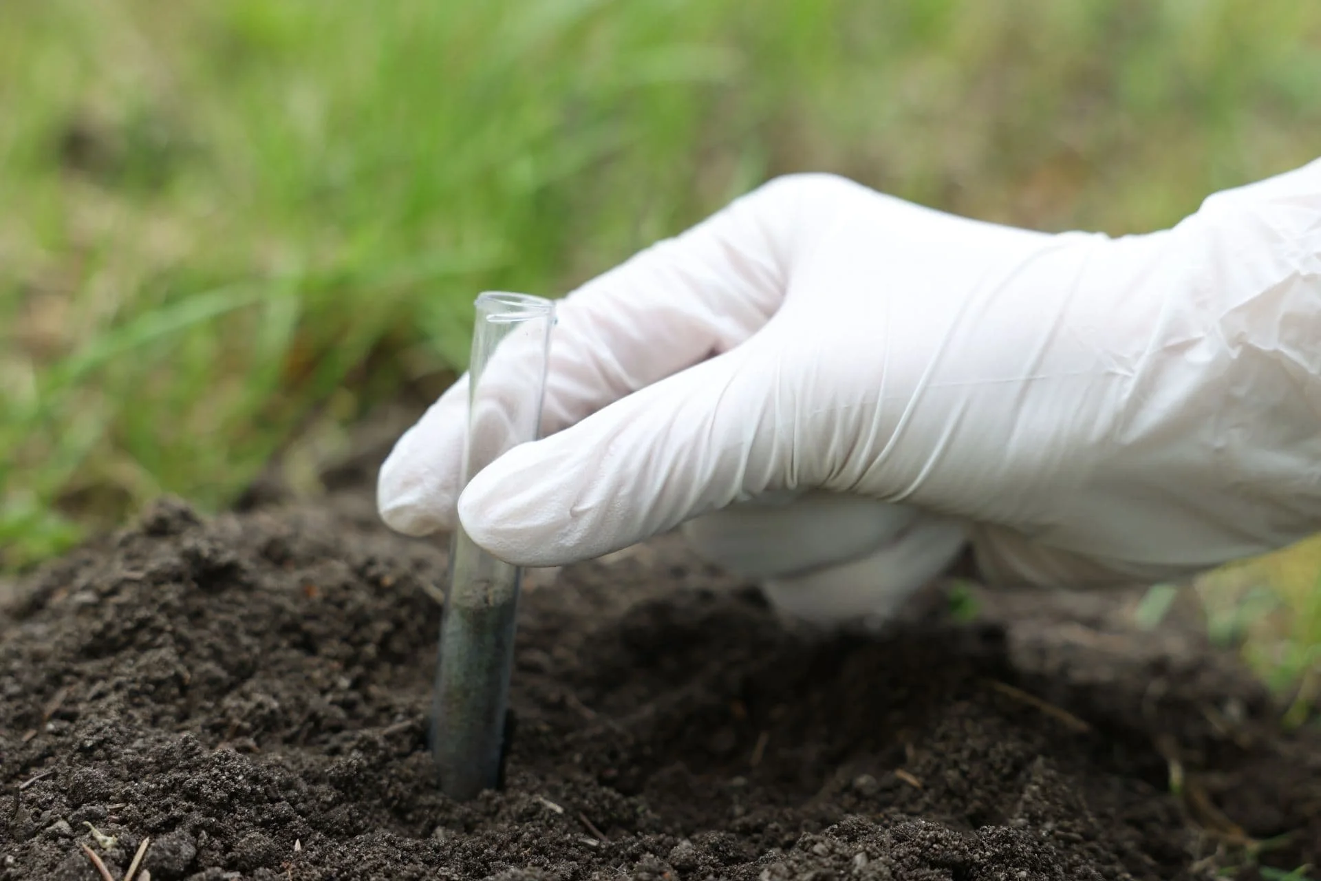 a hand with a vial of soil in it during soil testing