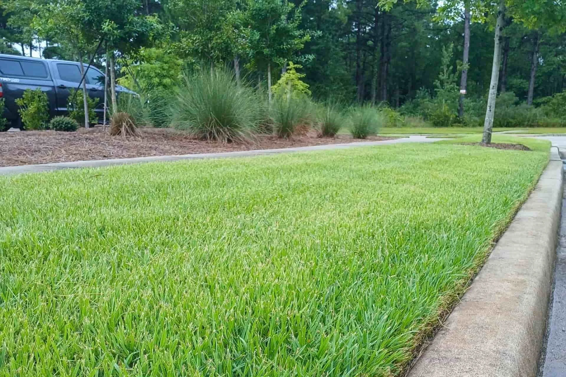 Freshly edged, healthy lawn along a curved sidewalk in a Wilmington, NC neighborhood