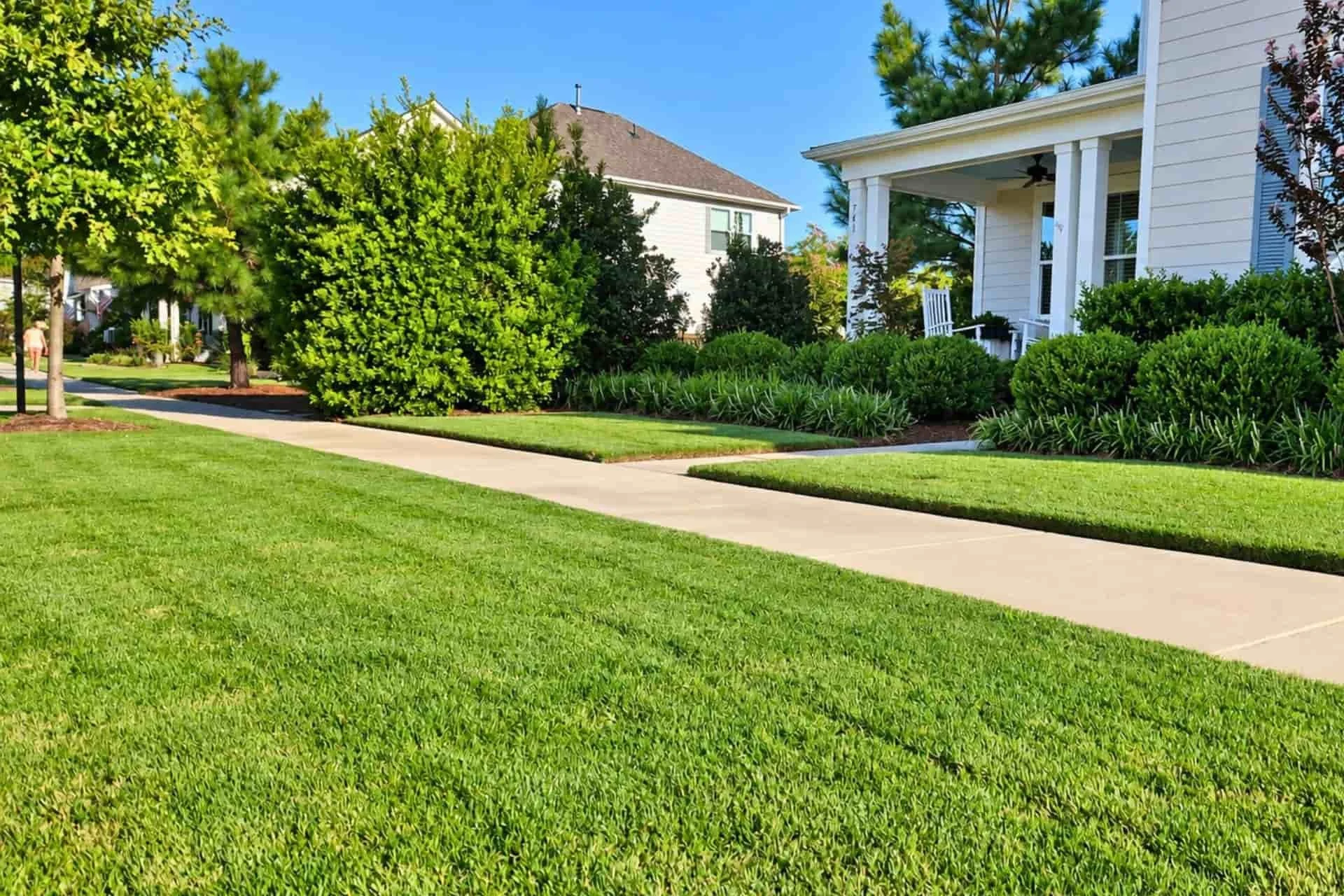 Healthy, striped lawn along a curved sidewalk at a residential home in Wilmington, NC