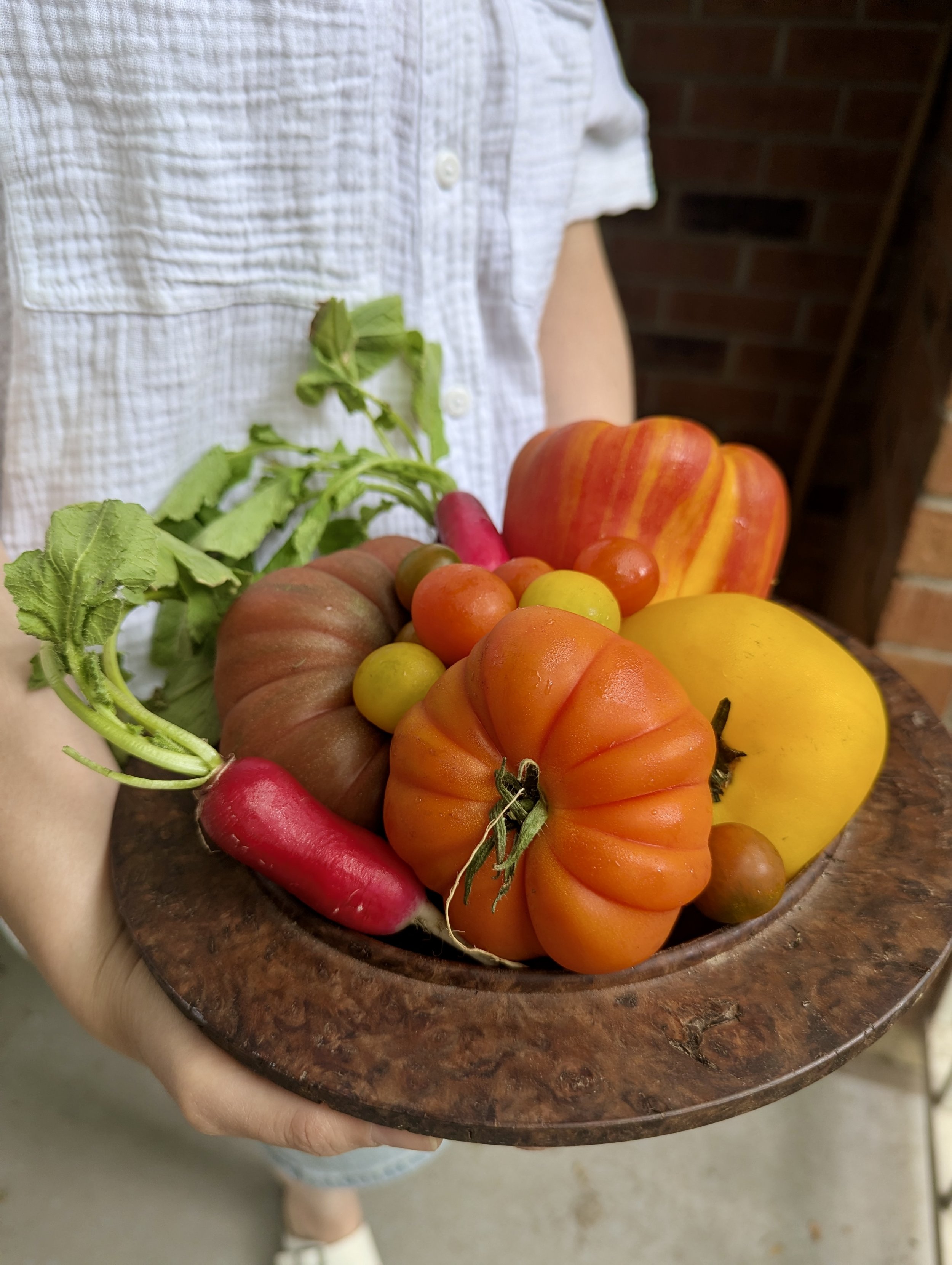A person holding a rustic wooden bowl filled with various colorful fresh vegetables including tomatoes, radishes, a yellow squash, and an apple, with part of their torso and arm visible.