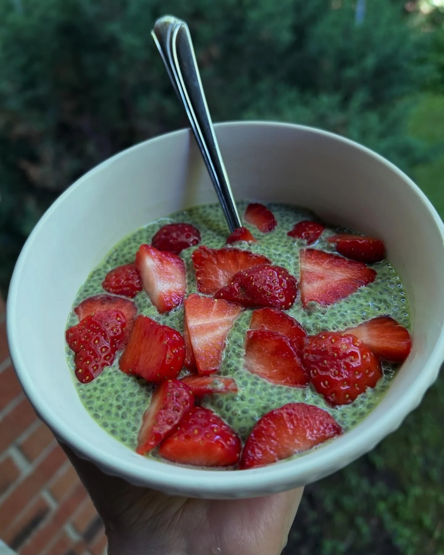 A bowl of chia seed pudding topped with sliced strawberries, being held outdoors with a green background.