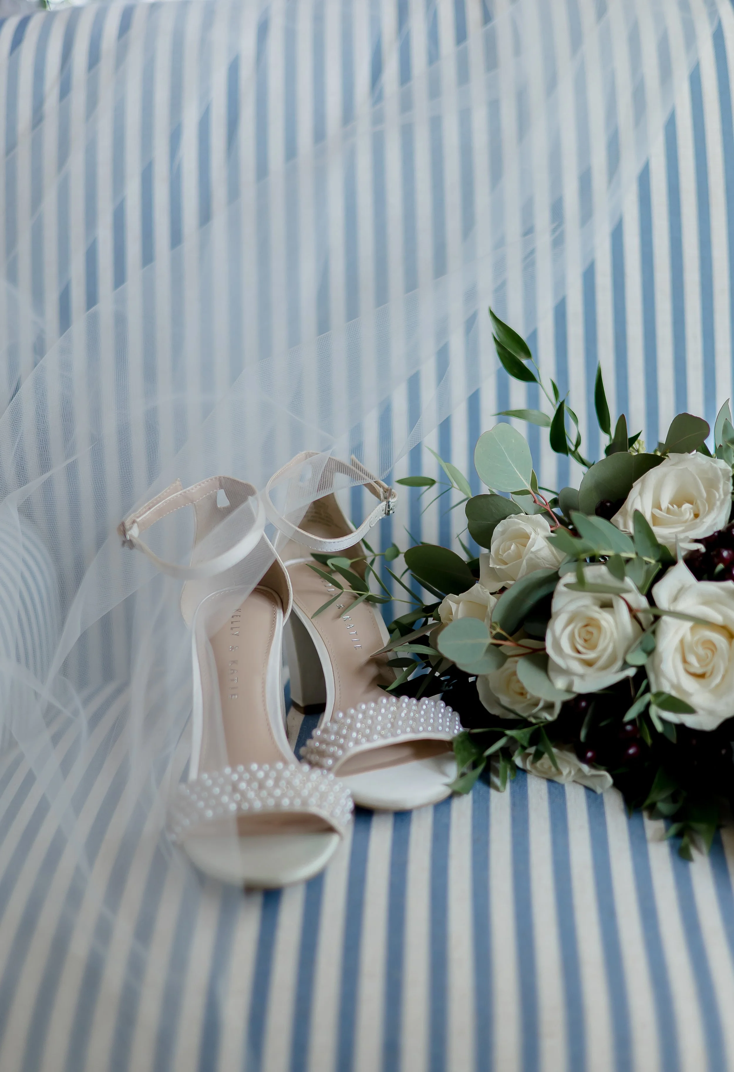 APO-DD-22.jpg