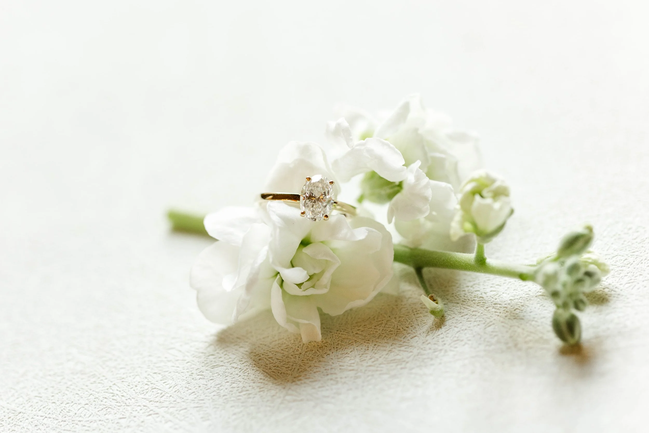 Sophia + Aaron-15.jpg